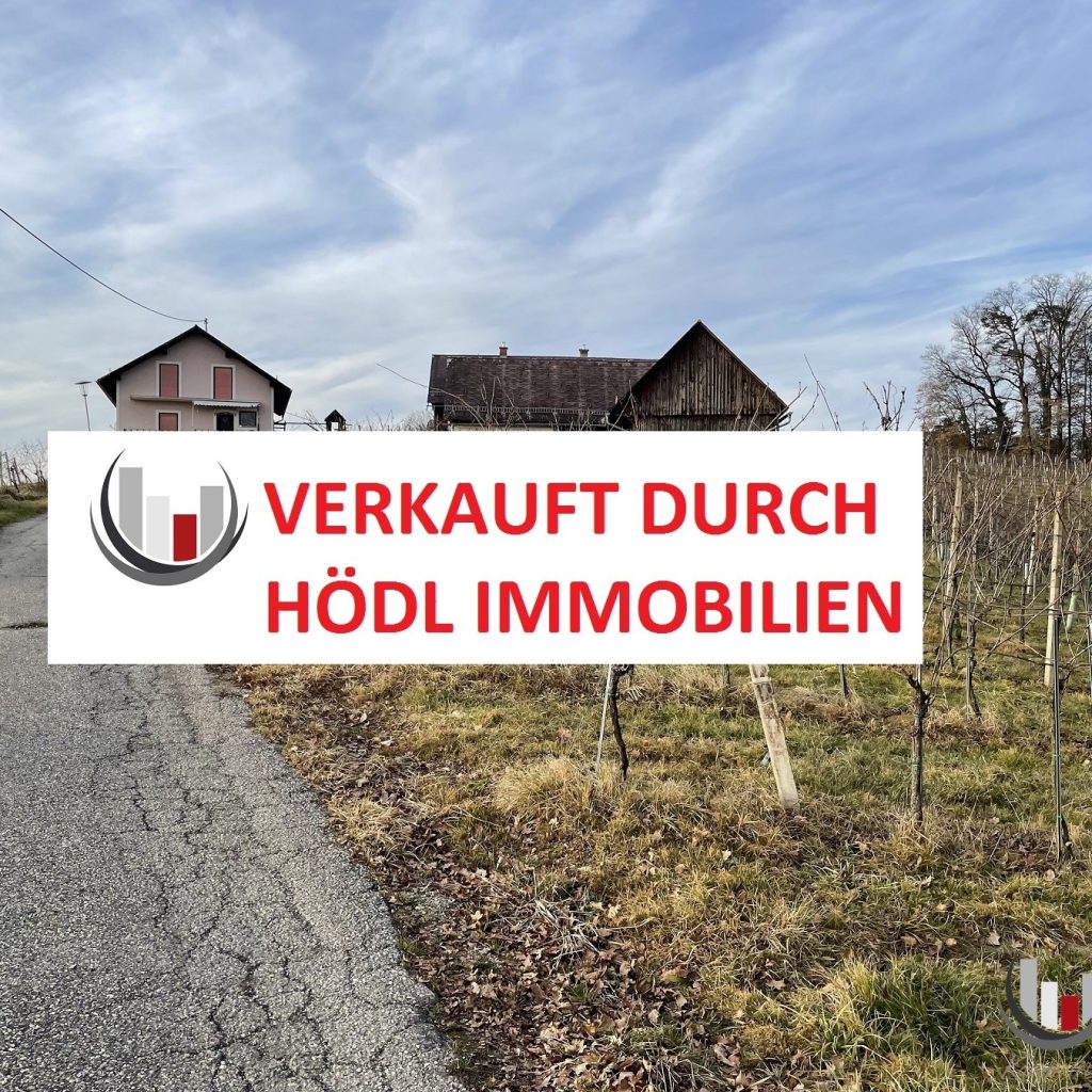 VERKAUFT! ALLEINLAGE: Ehemalige Landwirtschaft mit 30.000m² Weingärten samt Einfamilienhaus und Kellerstöckl in Kuppenlage mit Aussicht! (6011)