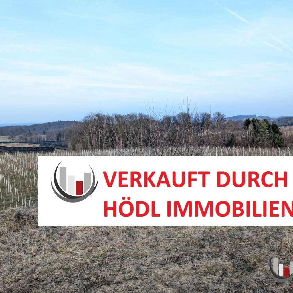 VERKAUFT! GAMLITZ – EHRENHAUSEN: 32600m² große Liegenschaft mit Weingärten und Wald in herrlicher Lage (6012)