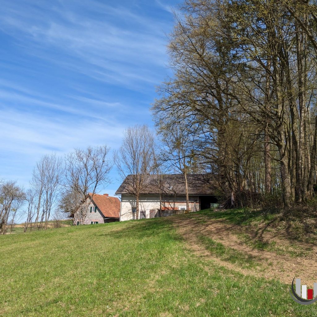 Kleine Landwirtschaft ideal für Pferdehaltung in schöner Lage (6013)