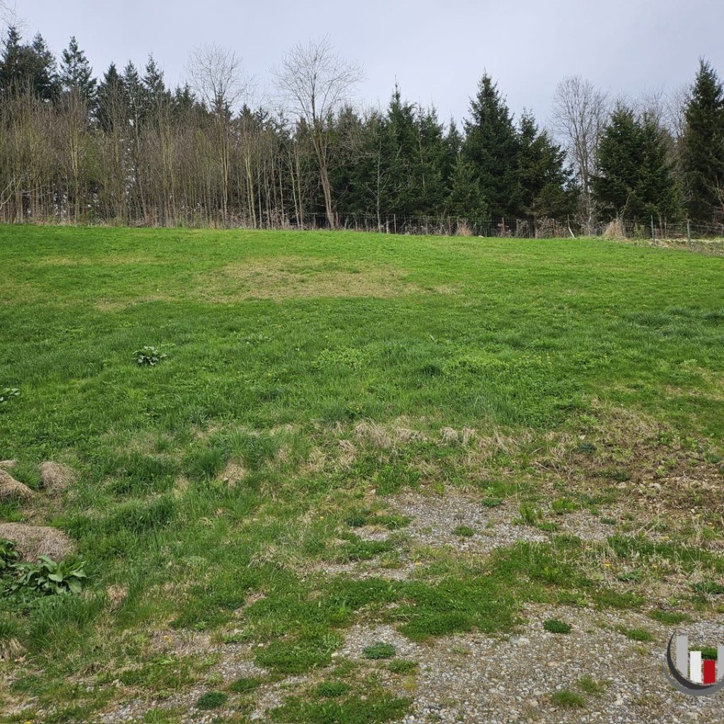 Attraktiver Baugrund mit Ausblick in Tobelbad (3155)