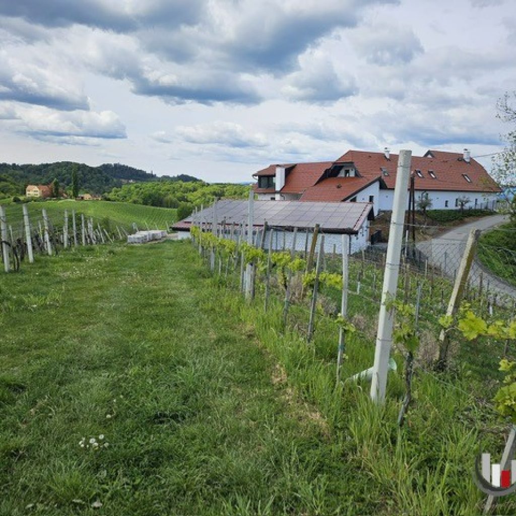 GAMLITZ – RARITÄT: Herrschaftliches Weingut samt Prachtvilla in unverbaubarer Kuppenlage mit phänomenaler Aussicht