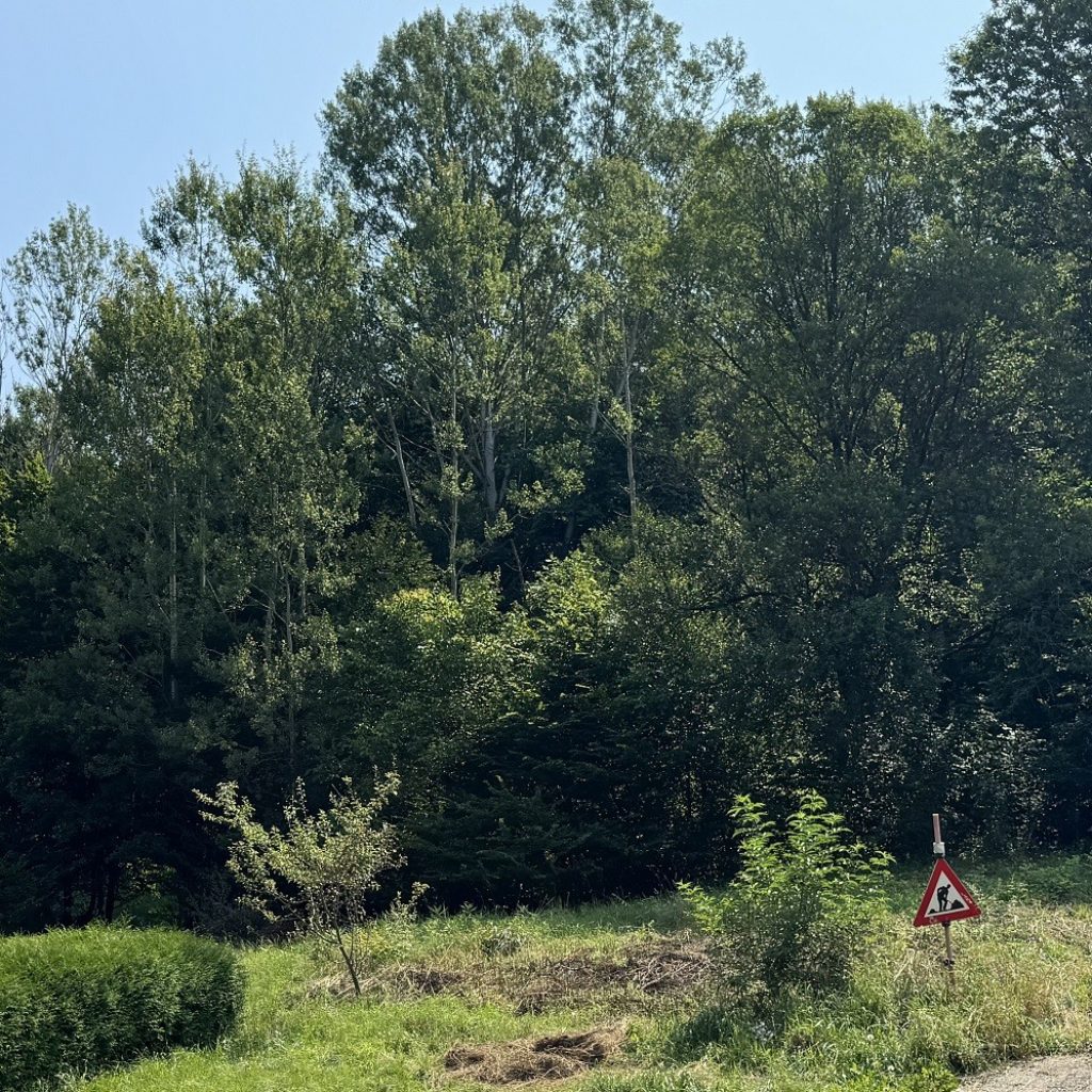 Sonniges Baugrundstück in leichter Hanglage in beliebter Wohngegend nahe Thalersee (3146)